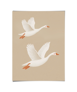 #lijsten_zonder lijst